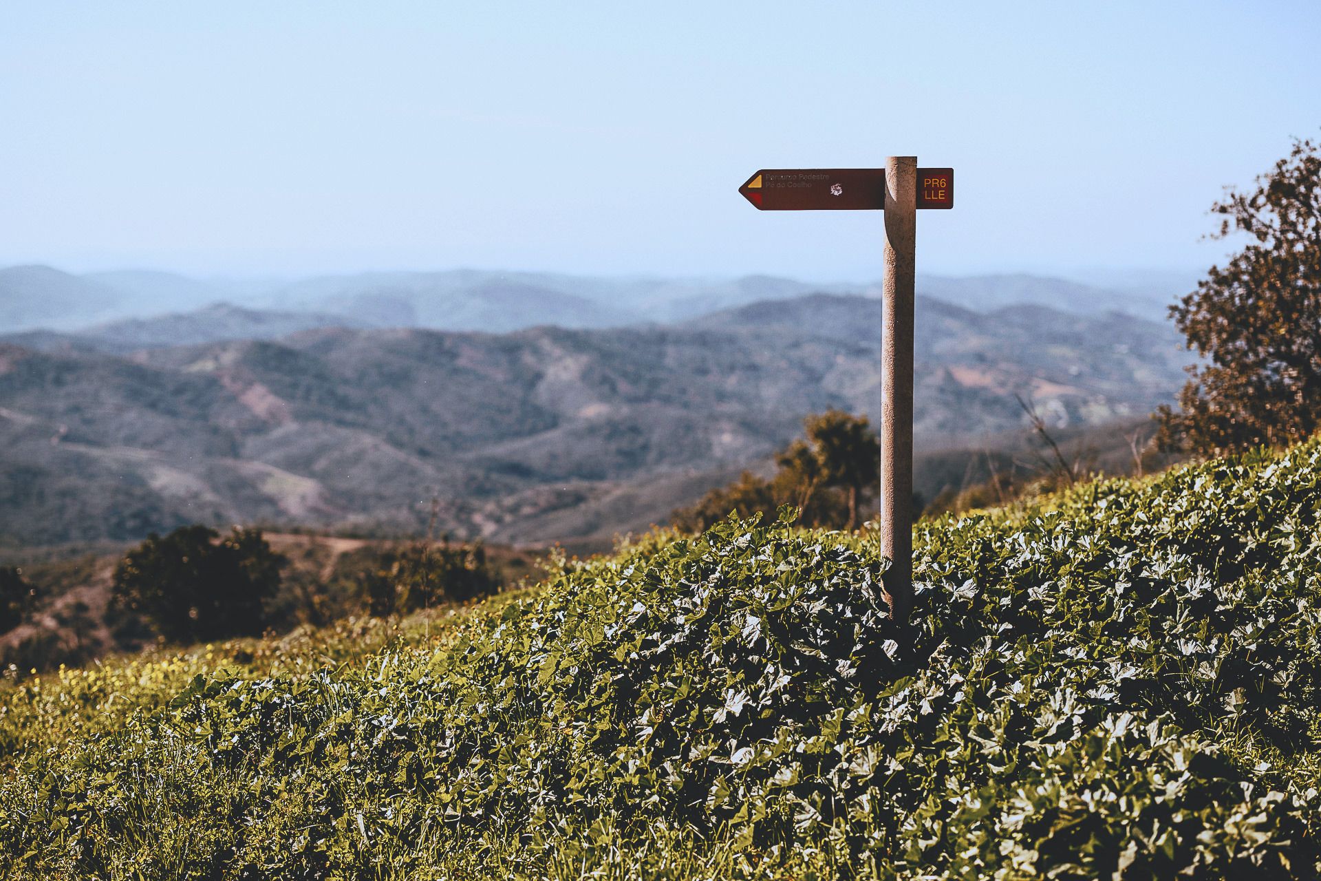Ein hölzerner Wanderwegweiser mit Blick über die Hügel des Algarve-Hinterlands im Winterlicht