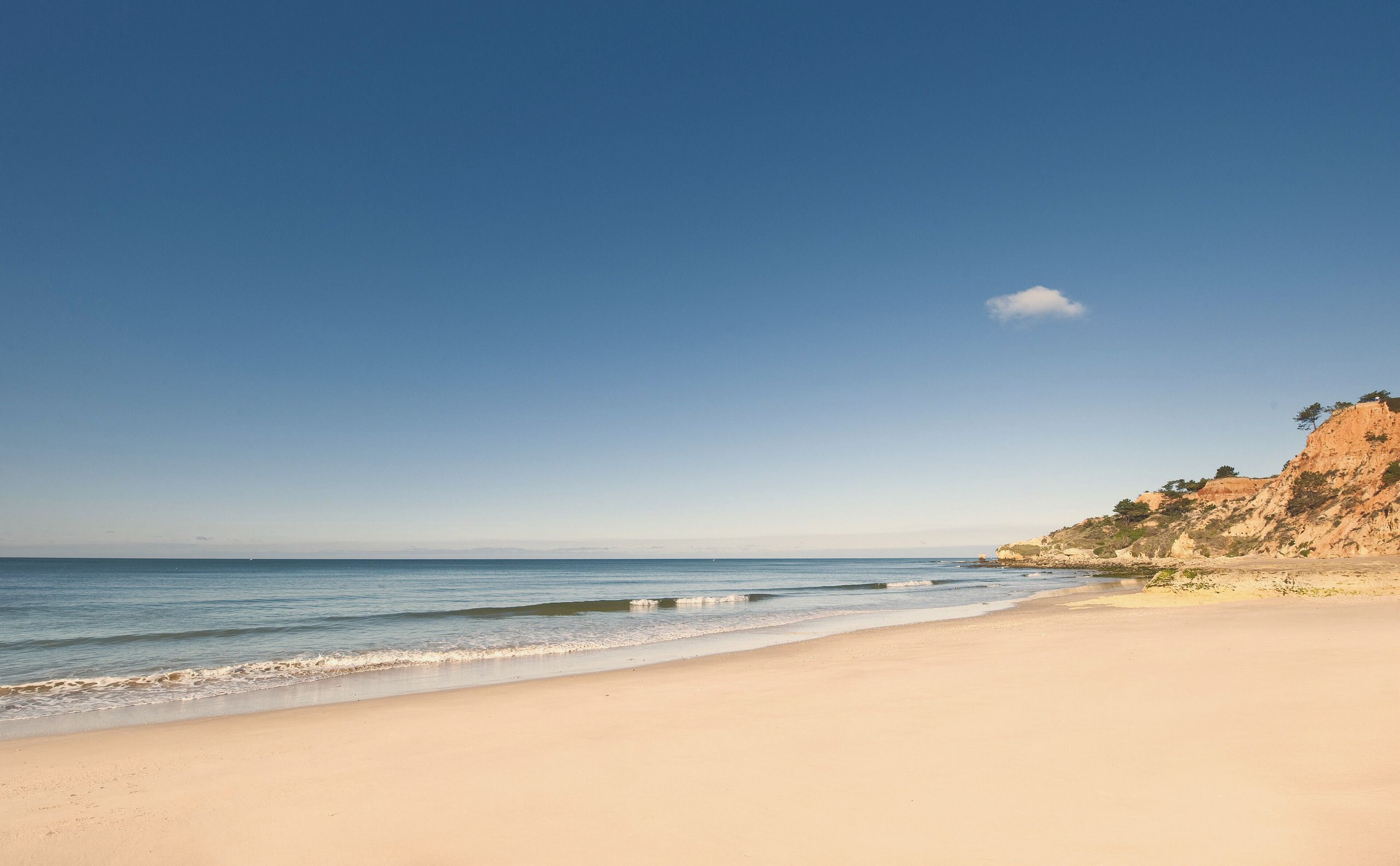 Der lange Sandstrand der Praia da Falésia unter ockerfarbenen Klippen, mit ruhigem Meer und leerem Sand